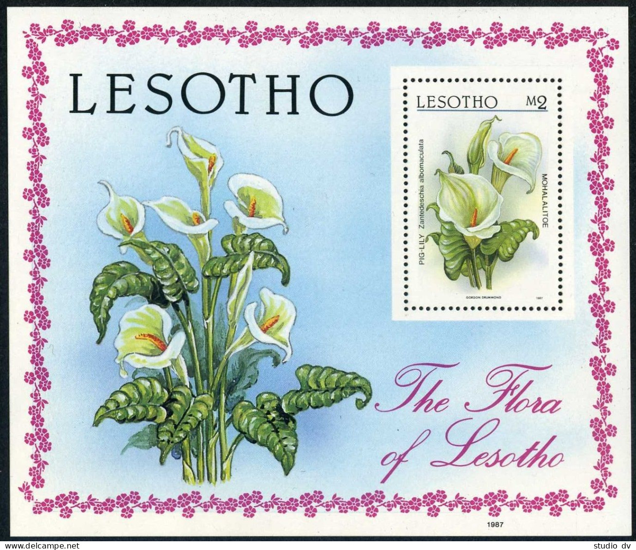 Lesotho 591,MNH.Michel 643 Bl.42. Flora 1987.Pig Lily. - Lesotho (1966-...)