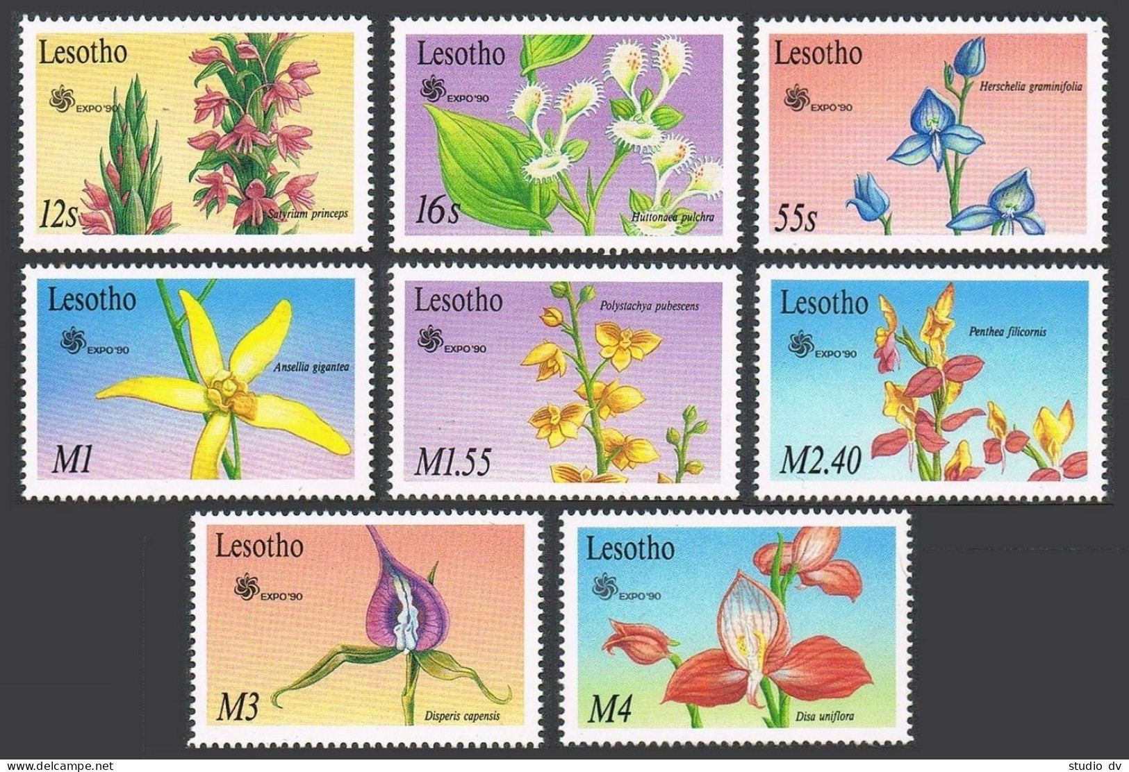 Lesotho 756-763,764,MNH.Michel 834-841,842 Bl.72. Orchids 1990. - Lesotho (1966-...)