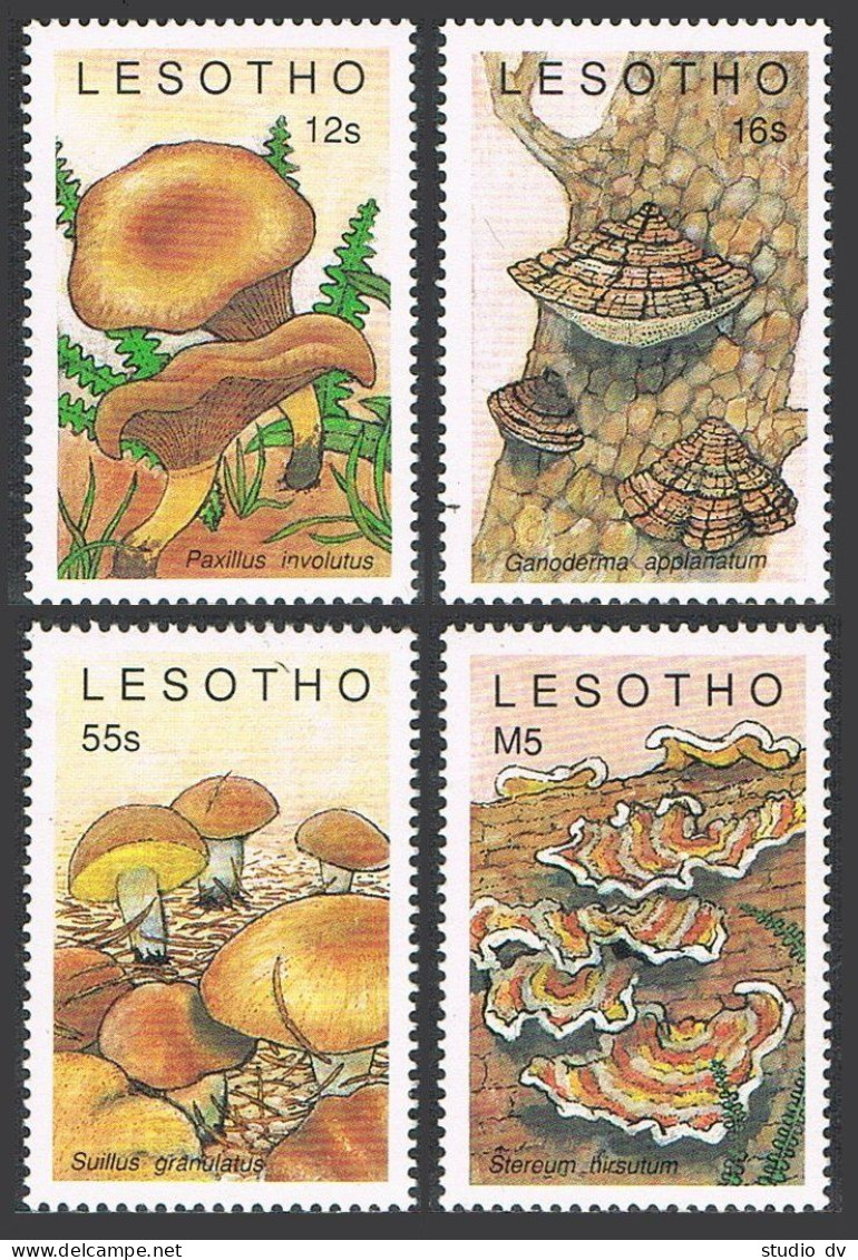 Lesotho 722-724, 725, MNH. Michel 777-780, Bl.64. Mushrooms, 1989. - Lesotho (1966-...)