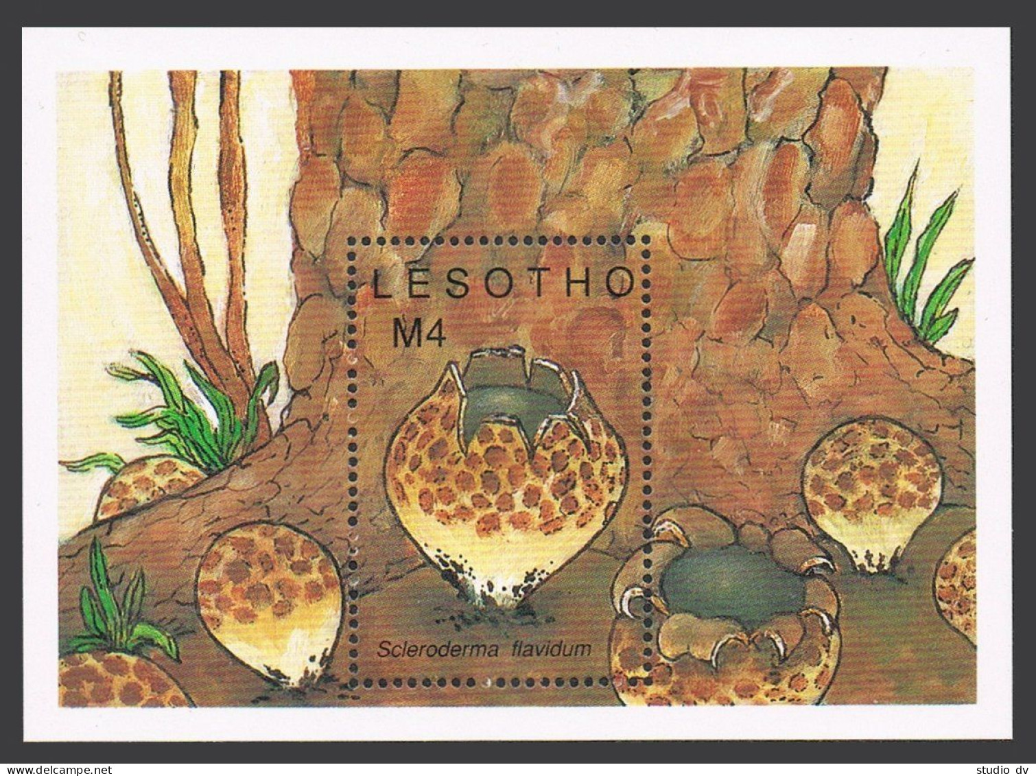 Lesotho 722-724, 725, MNH. Michel 777-780, Bl.64. Mushrooms, 1989. - Lesotho (1966-...)