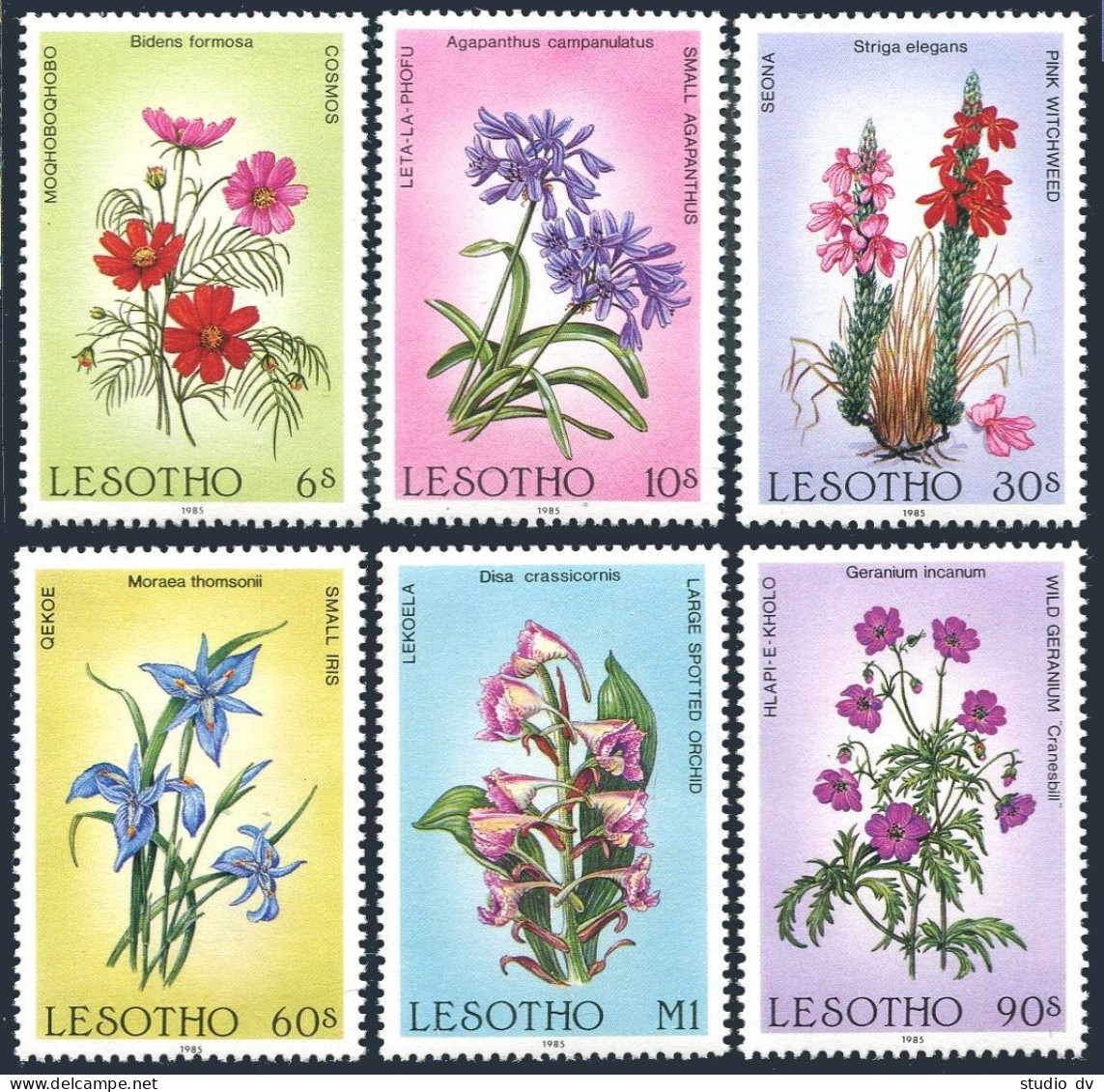 Lesotho 496-501,MNH.Michel 540-545 Wildflowers 1985:Cosmos,Iris,Geranium,Orchid, - Lesotho (1966-...)