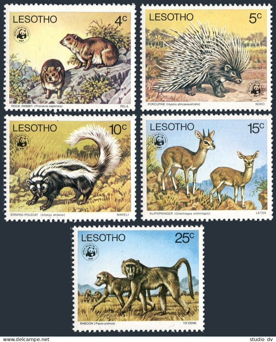 Lesotho 228-232, MNH. Mi 228-232. WWF 1977. Rabbit, Porcupine, Polecat, Baboons. - Lesotho (1966-...)