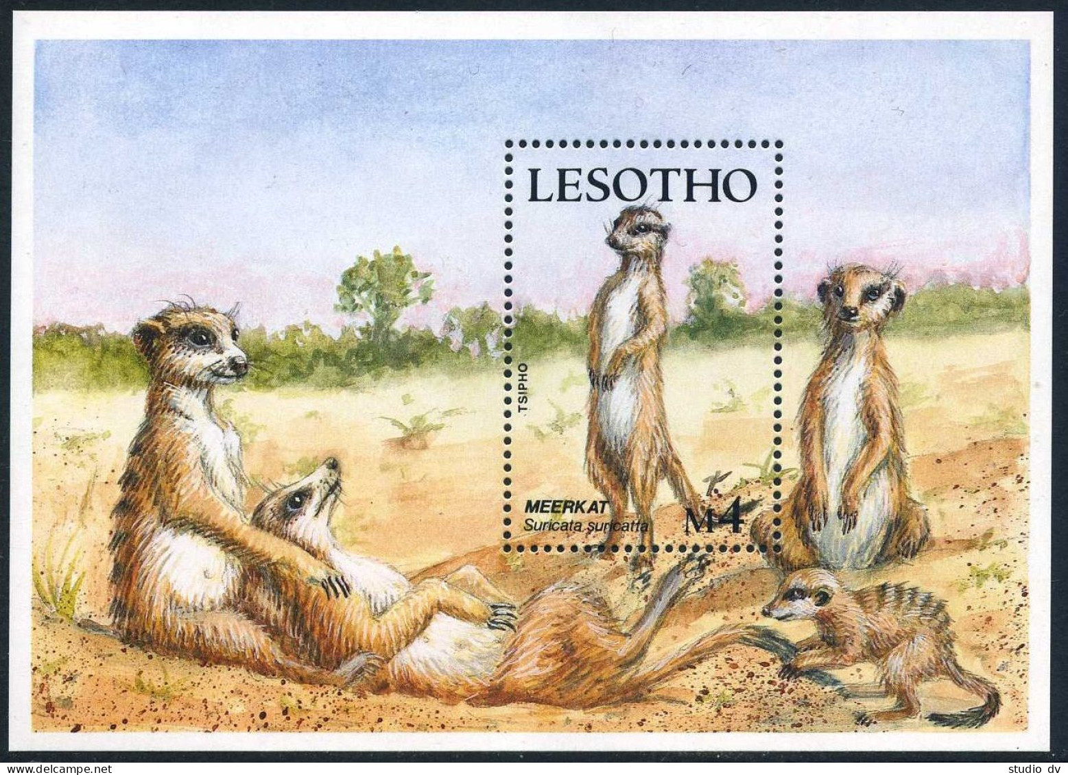 Lesotho 655-658,659, MNH. Mi 712-715,Bl.62. Hyrax,Badger,Genet,Mongoose,Meercat. - Lesotho (1966-...)