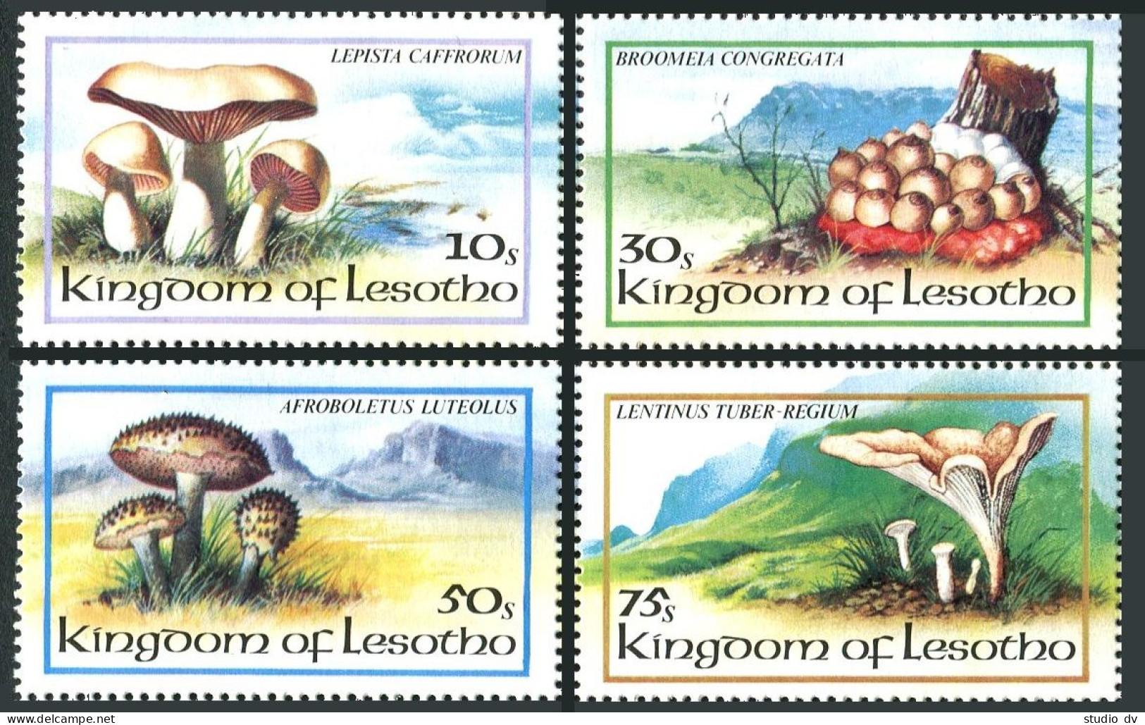 Lesotho 390-393, MNH. Michel 411-414. Local Mushrooms, 1983. - Lesotho (1966-...)