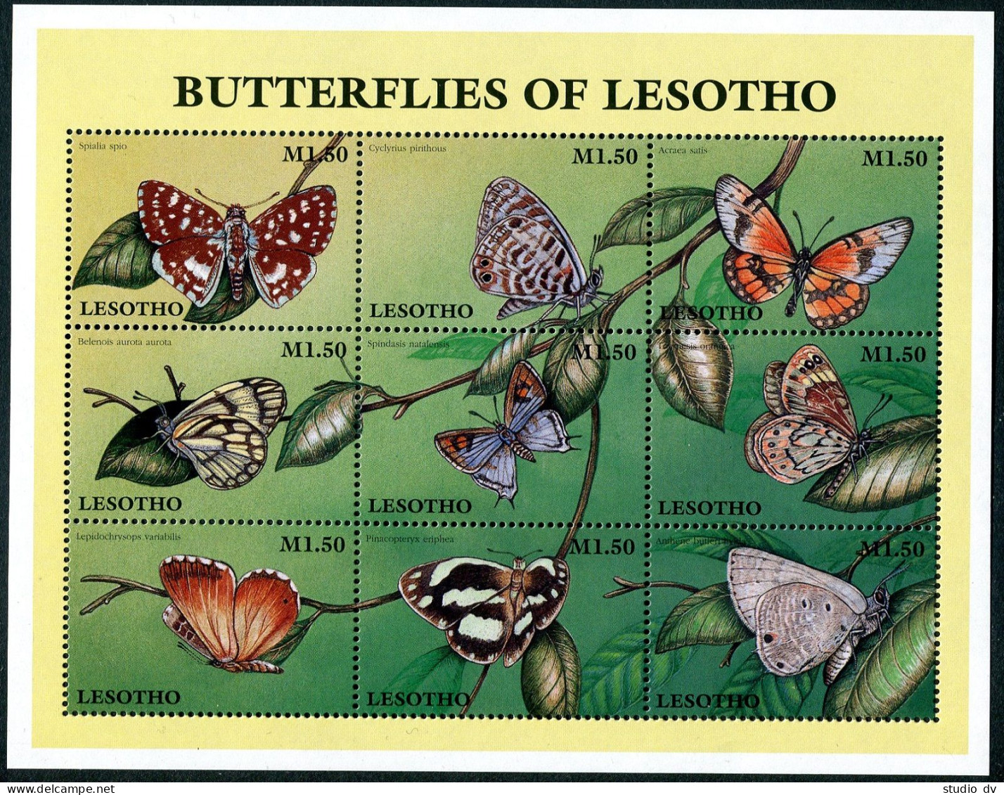 Lesotho 1080 Ai Sheet, 1081-1082, MNH. Butterflies 1997. - Lesotho (1966-...)