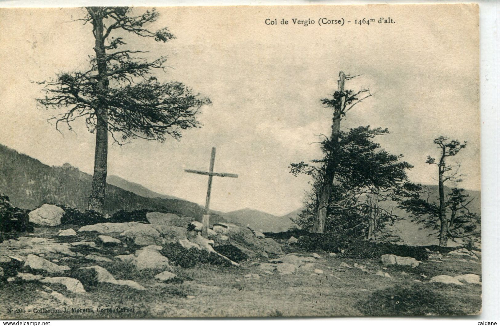 -2B - CORSE  - Col. De. Vergio       Collection. J.Moretti,Corté. N°: 205 - Bastia