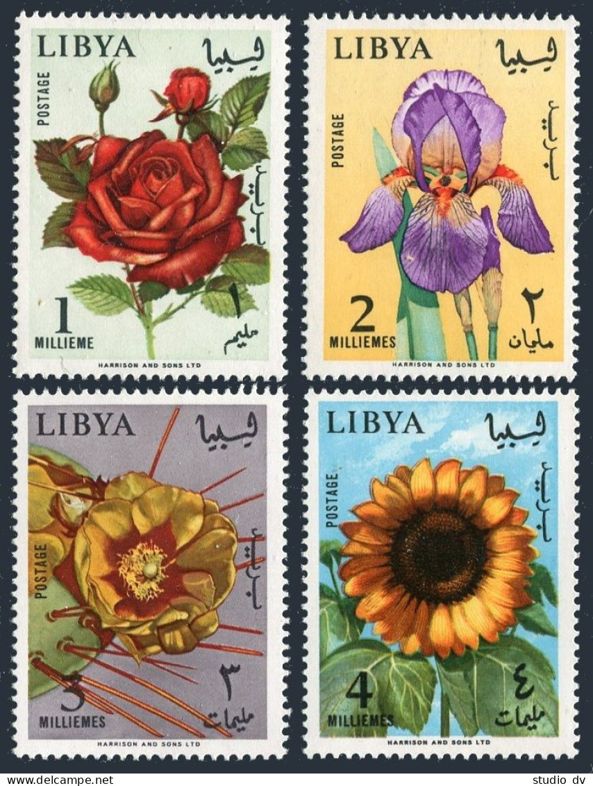 Libya 284-287, MNH. Michel 193-196. Flowers 1965. Rose, Iris, Opuntia,Sunflower. - Libia