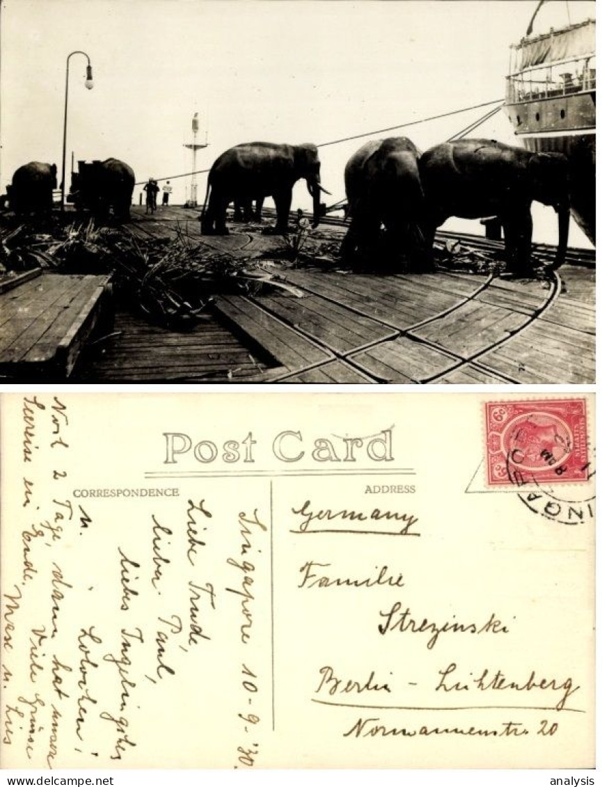Singapore Harbour Elephants Scene Old Real Photo PC 1930 Mailed - Singapore