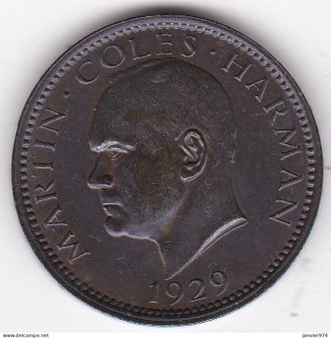 Lundy 1 Puffin 1929 Martin Coles Harman, En Bronze , X# Tn2, SUP/AU - Other - Europe