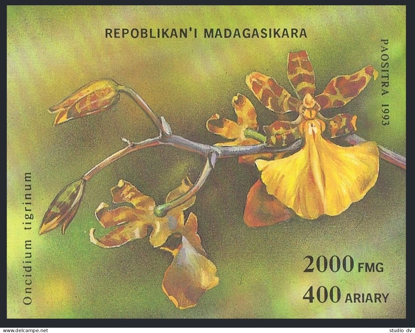 Malagasy 1272-1278,1279,MNH.Michel 1570-1576,Bl.239. Orchids,1993. - Madagascar (1960-...)