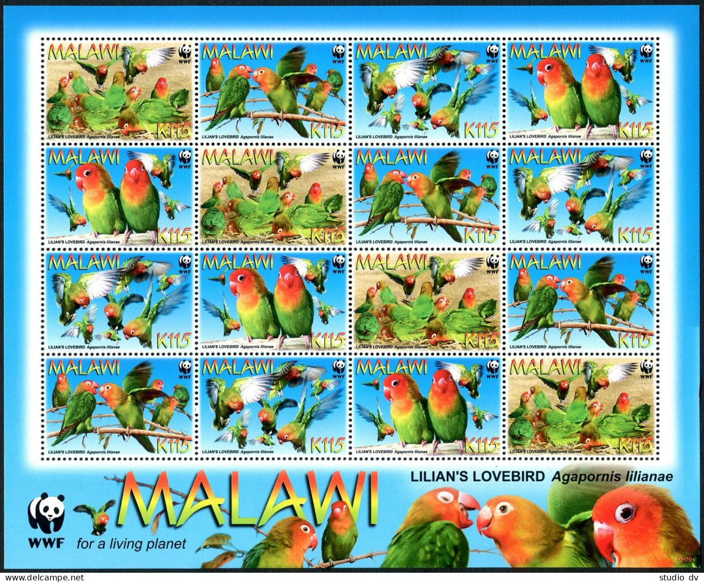 Malawi 751 Ad/4 Strips, 751e Sheets, MNH. WWF 2009. Lovebirds. - Malawi (1964-...)