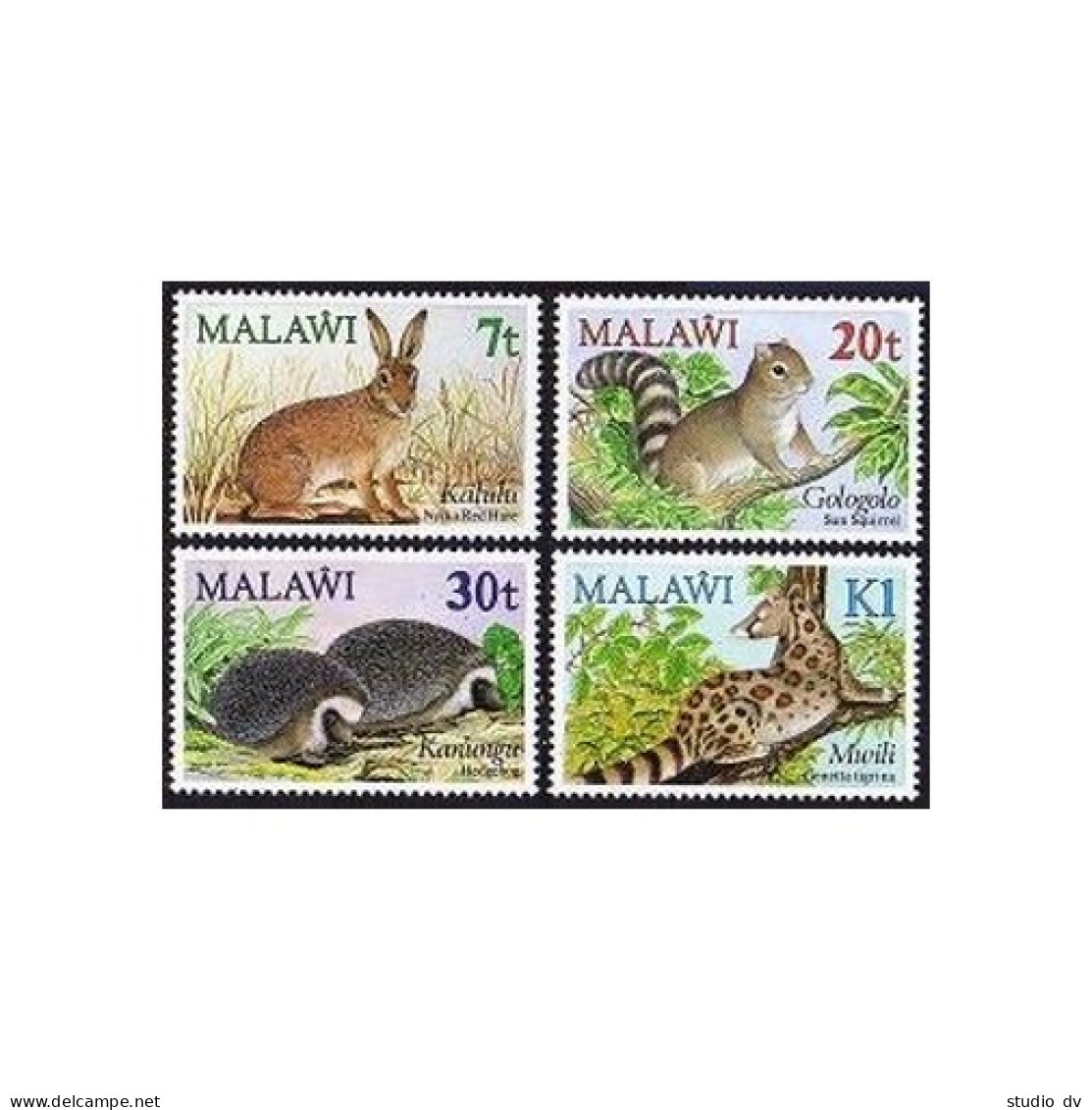 Malawi 442-445, MNH. Michel 424-427. Nyika Hare, Squirrel, Hedgehog,Genet. 1984. - Malawi (1964-...)