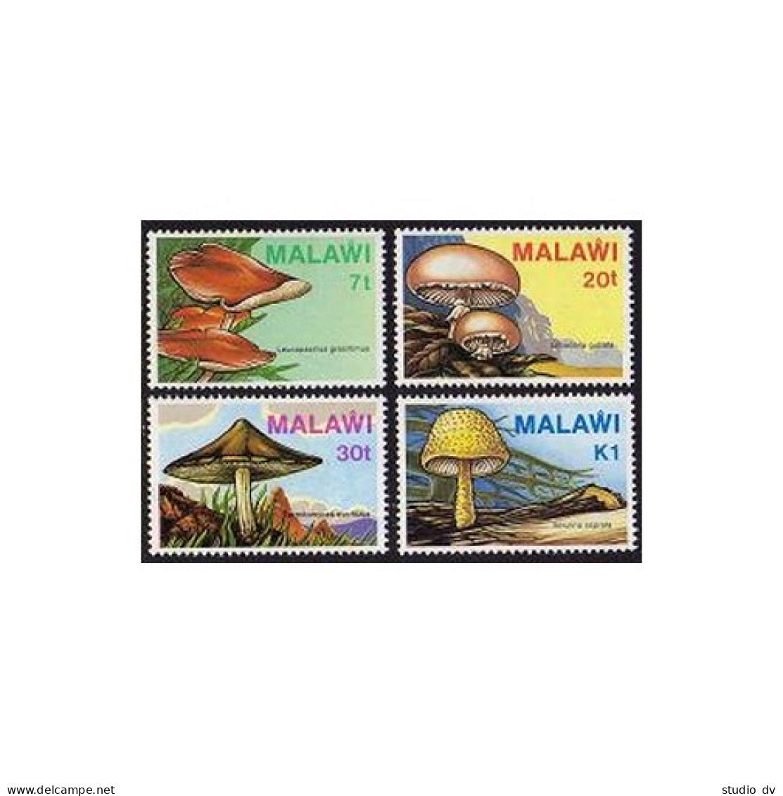 Malawi 458-461, MNH. Michel 441-444. Mushrooms 1985. - Malawi (1964-...)