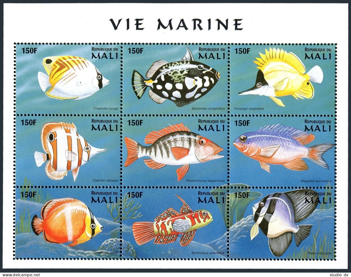 Mali 896 Ai Sheet, MNH. Marine Life 1997, Fish. Chaetodon Auriga. - Mali (1959-...)