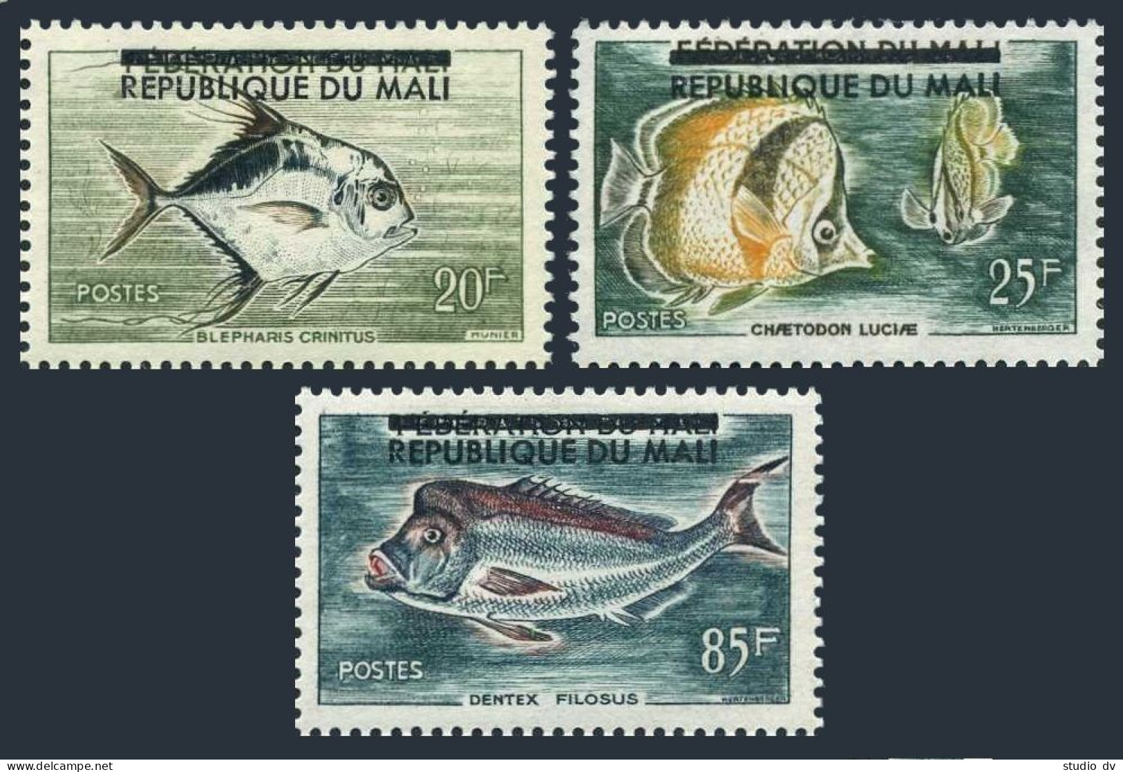 Mali 10-12, MNH. Michel 18-20. Fish, Overprinted. 1961. - Mali (1959-...)