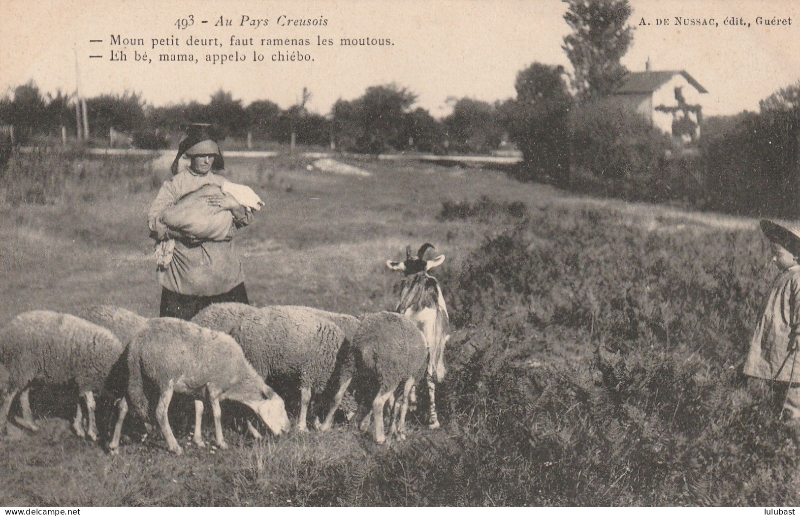 (Au Pays Creusois.) Bergère Et Ses Moutons. (beau Plan.) - Viehzucht