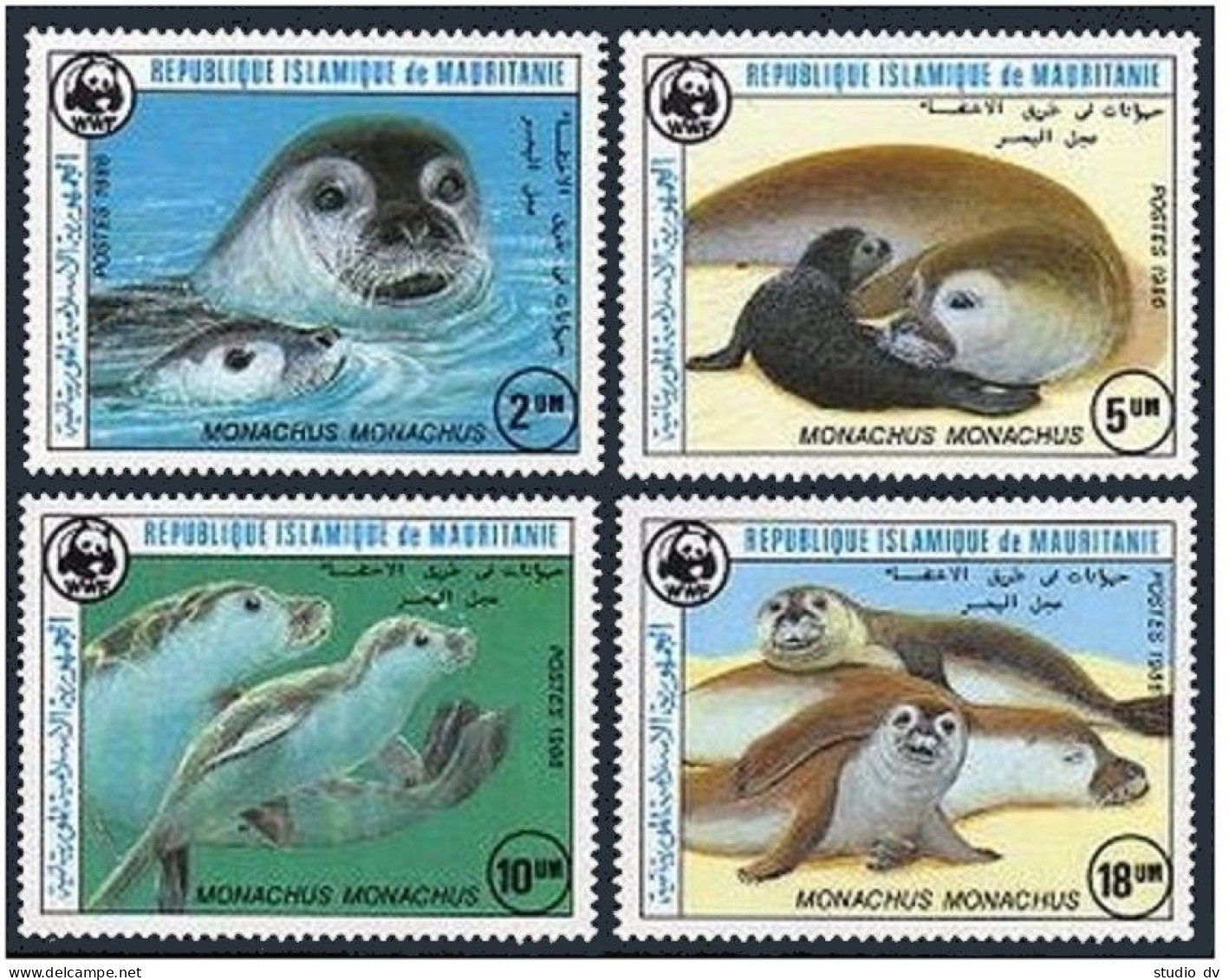 Mauritania 597-600,601, MNH. Mi 871-874, 875 Bl.63. WWF 1986. Monk Seal:Monachus - Mauritania (1960-...)