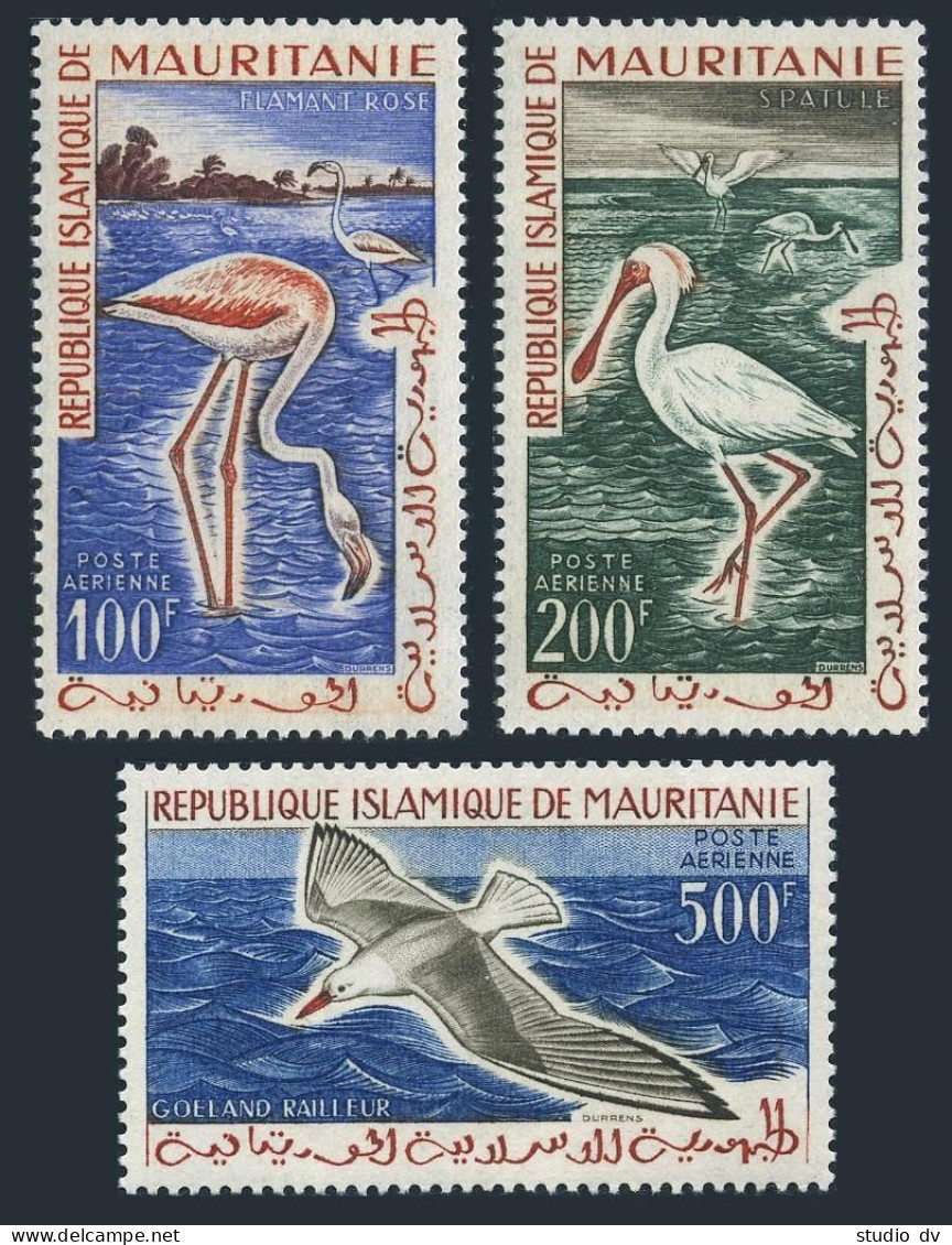 Mauritania C14-C16, MNH. Michel 178-180. Birds 1961. Flamingos, Spoonbills, Gull - Mauritania (1960-...)