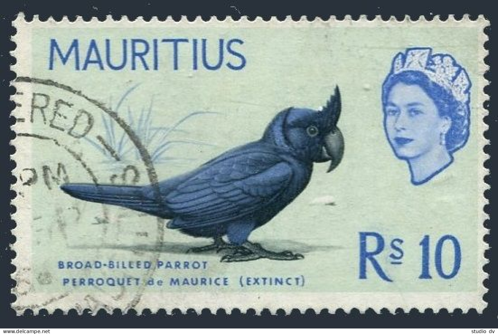 Mauritius 290,used.Michel 282. Birds 1965.Broad-billed Mauritian Parrot. - Maurice (1968-...)