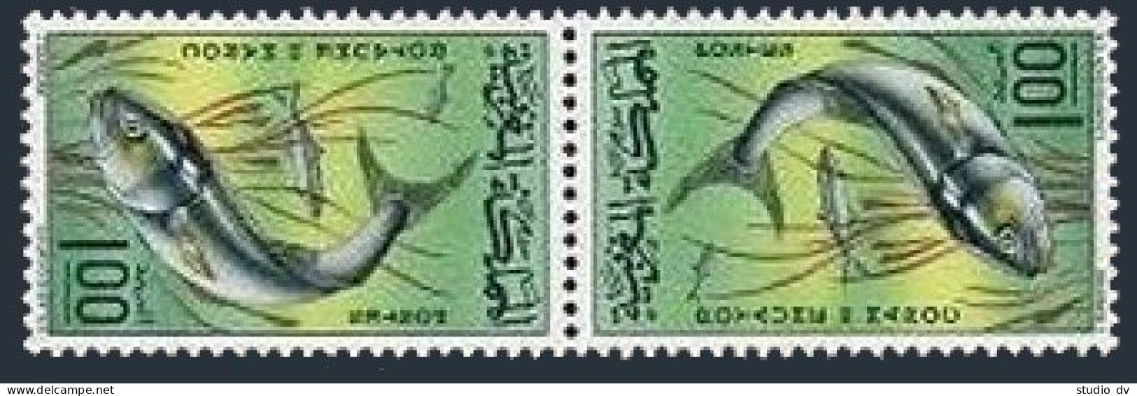 Morocco 152 Tete-beche,MNH.Michel 579. Bluefish 1967. - Morocco (1956-...)