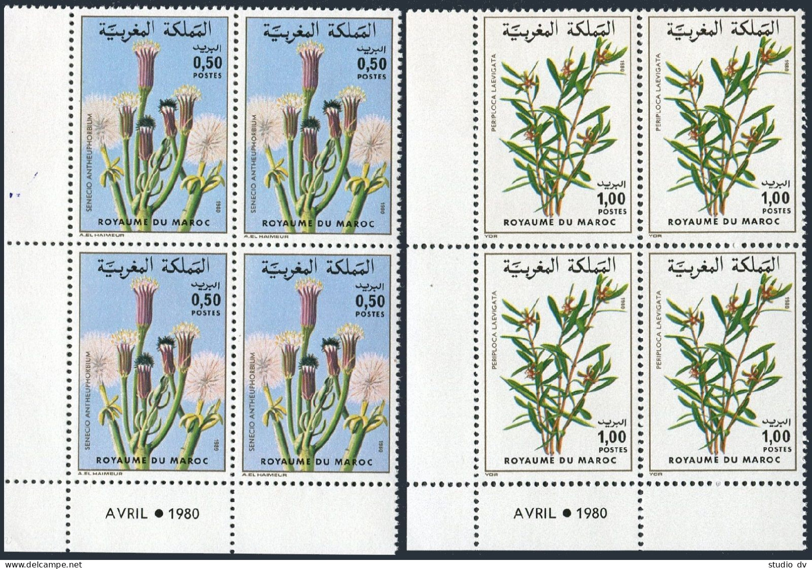 Morocco 472-473 Blocks/4,MNH.Mi 943-944. Plants 1980.Senecio,Periploca. - Maroc (1956-...)