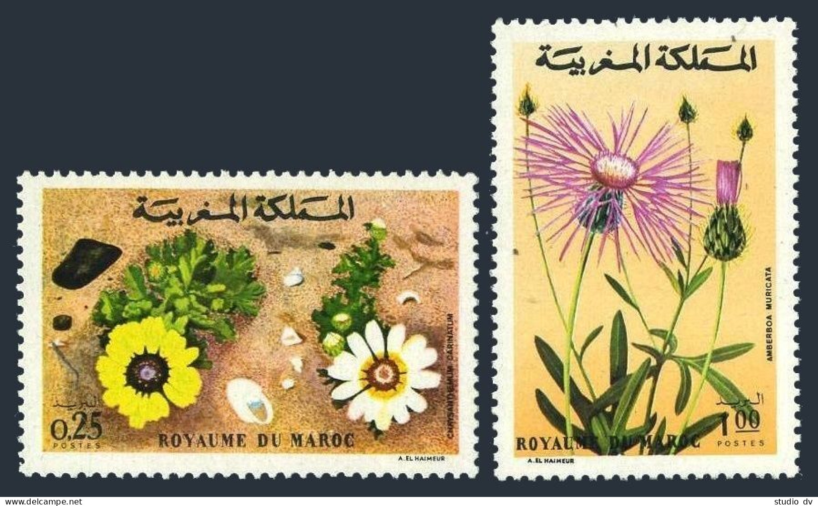 Morocco 305-306,MNH.Michel 754-755. Nature Protection.Flowers 1973. - Maroc (1956-...)