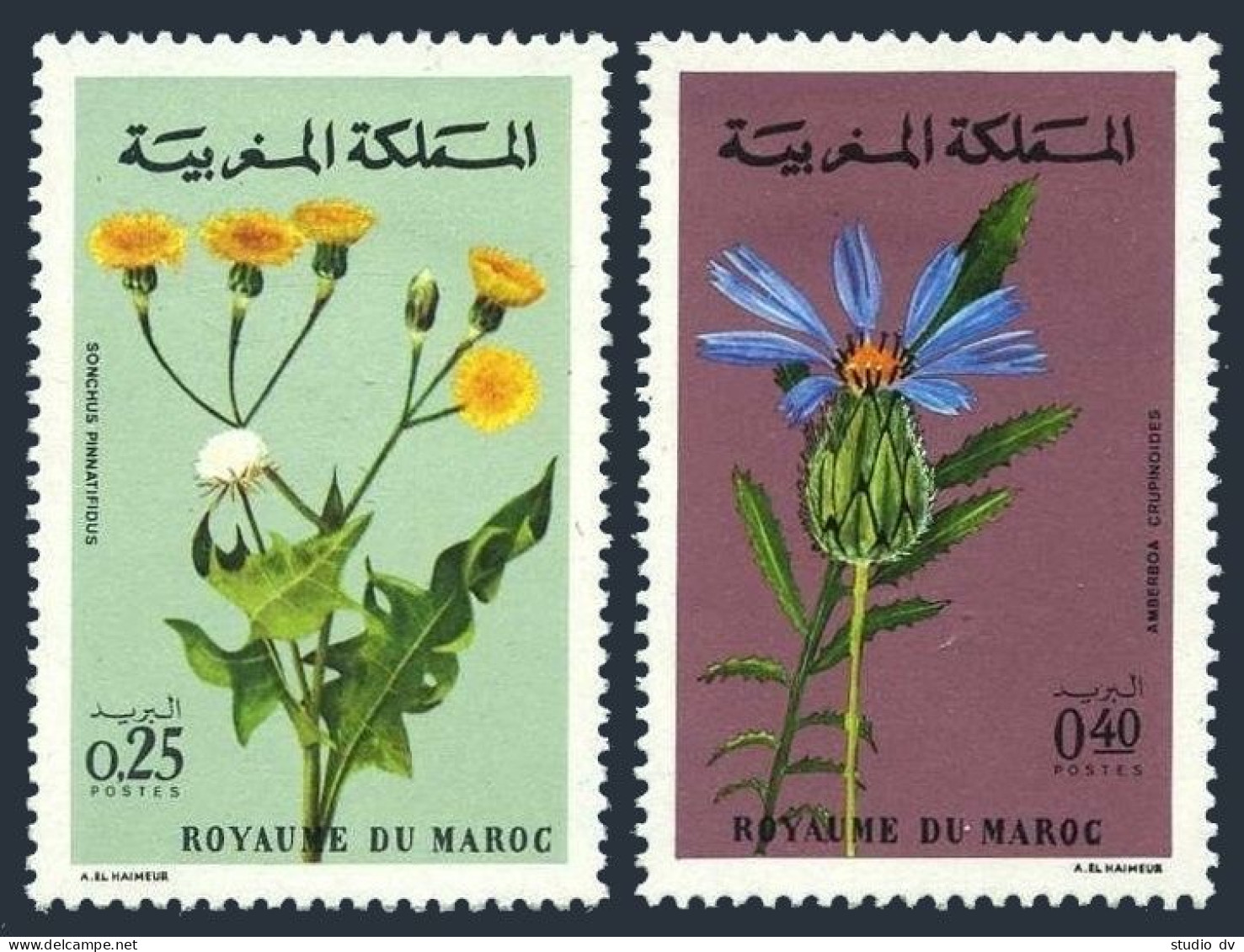 Morocco 266-267, MNH. Michel 712-713. Flowers 1972. Sow Thistle, Amberboa. - Maroc (1956-...)