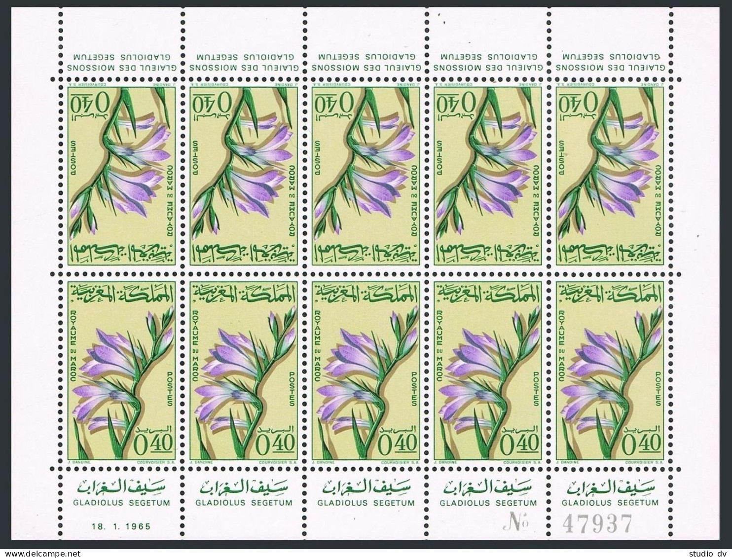 Morocco 116-117 Sheets,MNH.Mi 543-544. Flowers 1965.Gladiolus,Capperis. - Marokko (1956-...)