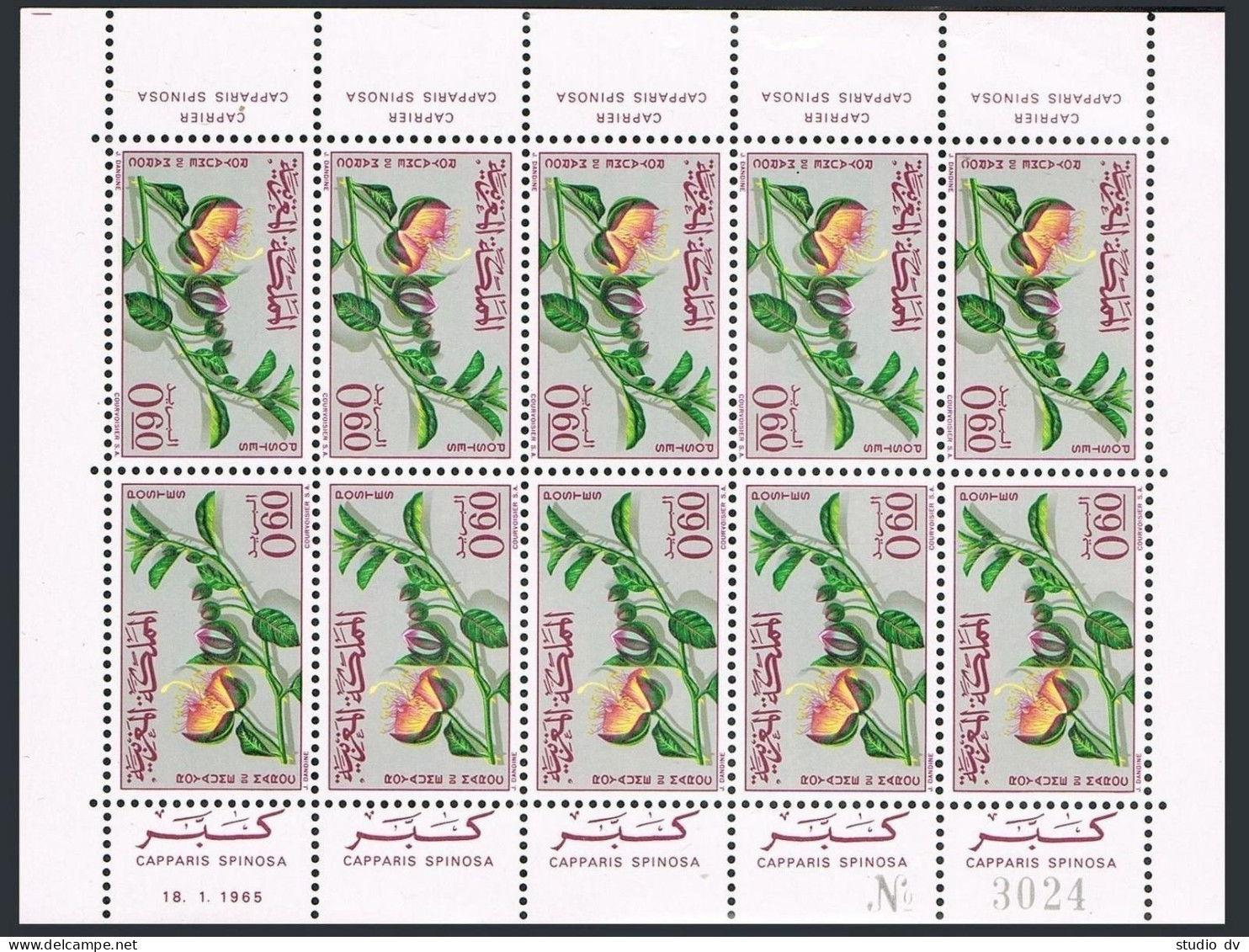 Morocco 116-117 Sheets,MNH.Mi 543-544. Flowers 1965.Gladiolus,Capperis. - Maroc (1956-...)
