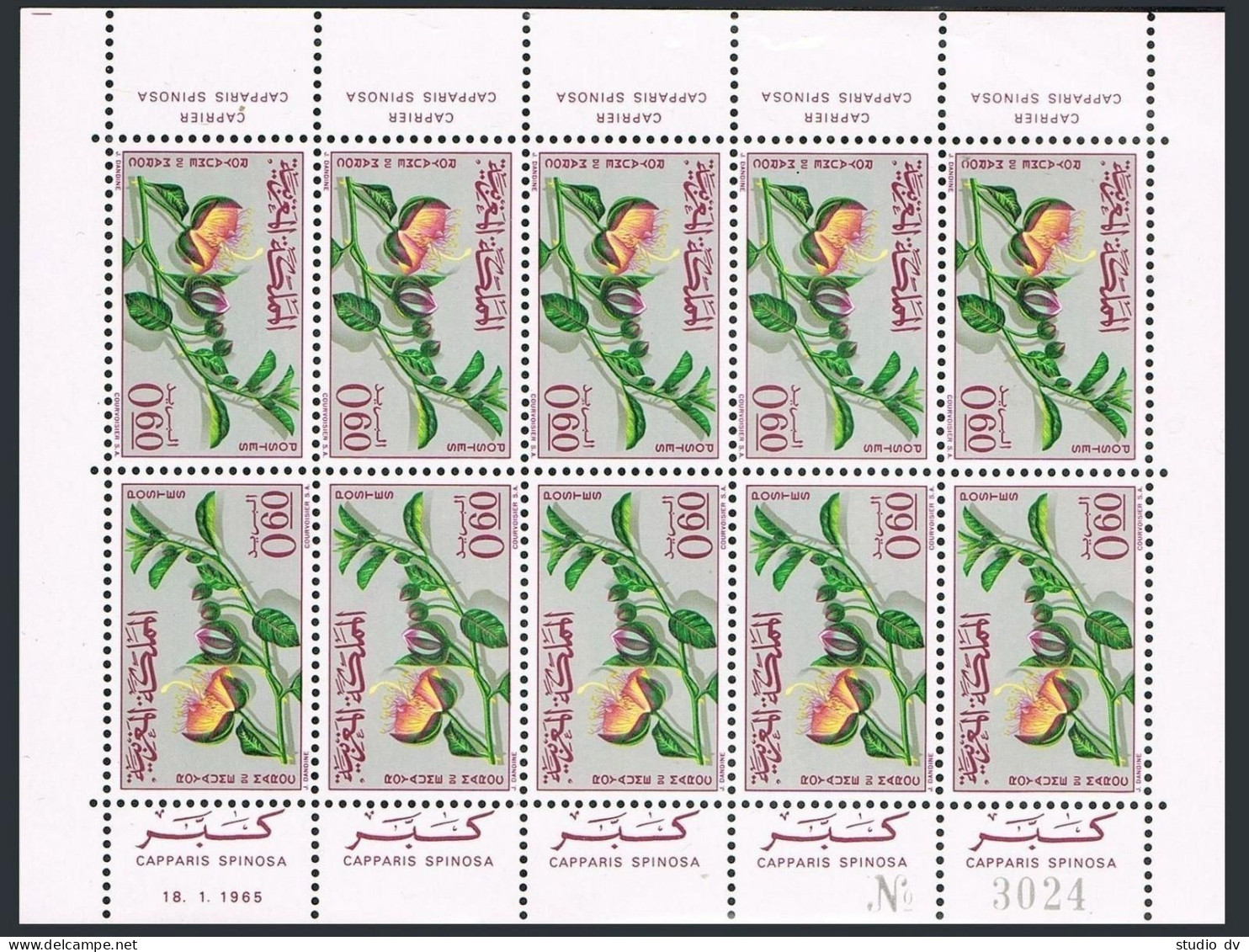 Morocco 116-117 Sheets,MNH.Mi 543-544. Flowers 1965.Gladiolus,Capperis. - Morocco (1956-...)