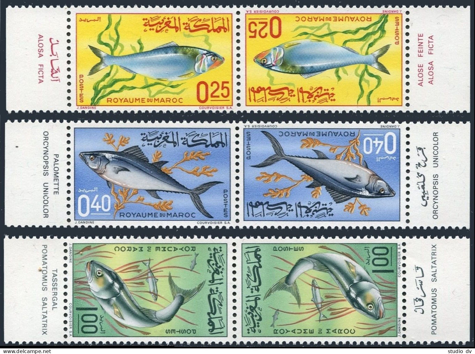 Morocco 150-152 Tete-beche Pairs,MNH. Michel 577-579. Fish 1967. - Marruecos (1956-...)