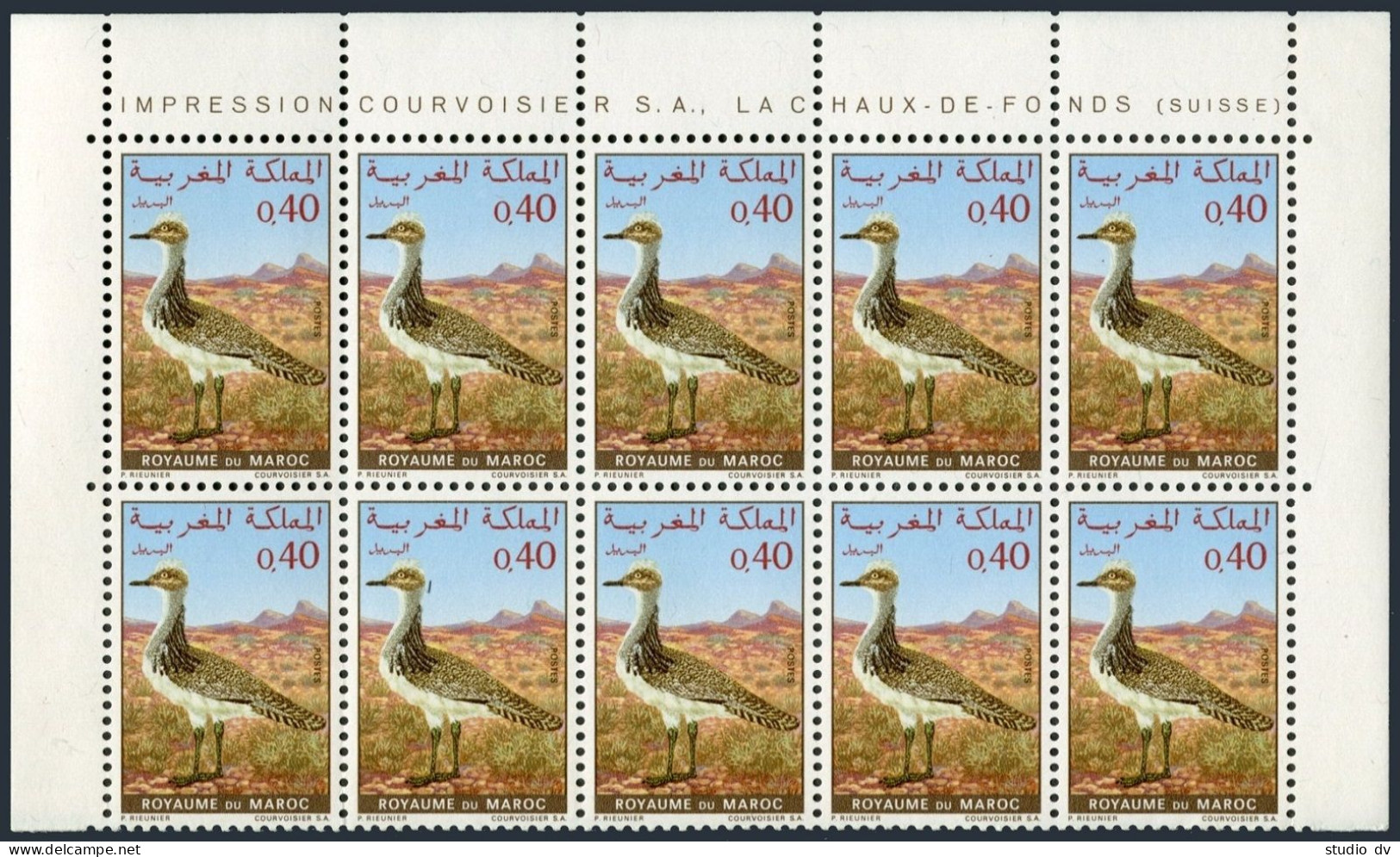 Morocco 234 Block/10,MNH.Mi 673. Save Moroccan Wildlife 1970.Houbara Bustard. - Maroc (1956-...)