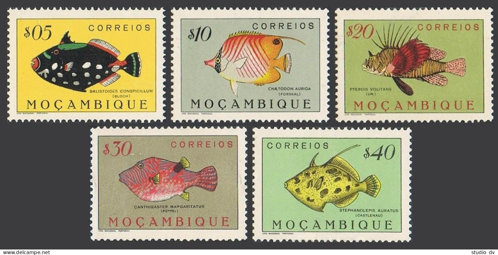 Mozambique 332-336, MNH. Michel 385-408. Fish 1951. - Mozambique