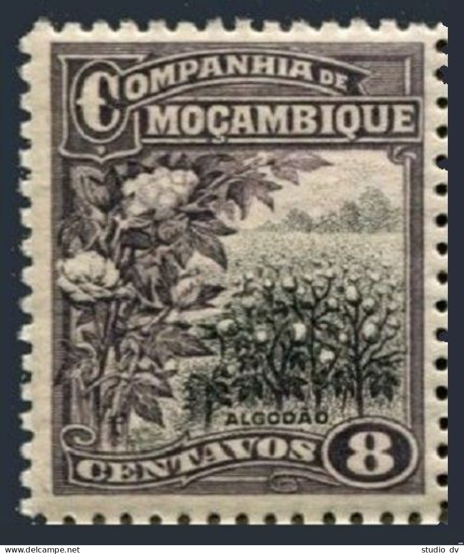 Mozambique Co 125,MNH.Michel 122. Cotton Field,1918. - Mozambique