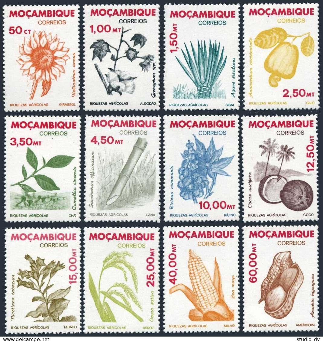 Mozambique 757-768,MNH.Michel 828-839. 1981.Sunflower,Cotton,Sisal,Cashews,Rice, - Mozambico