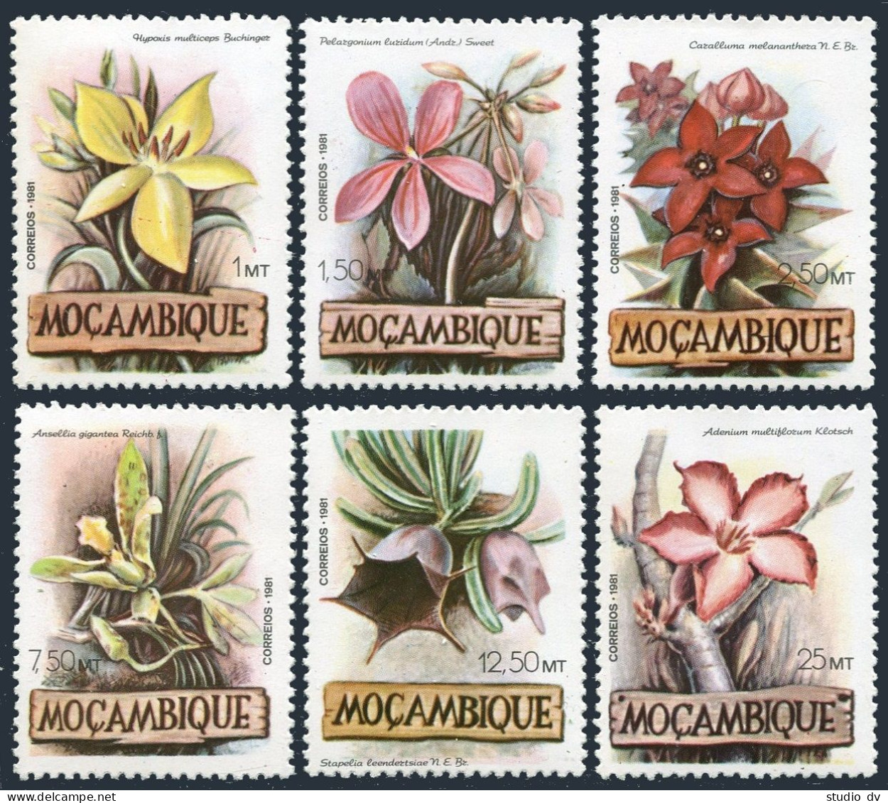 Mozambique 794-799,MNH.Michel 865-870. Flowers 1981. - Mozambique