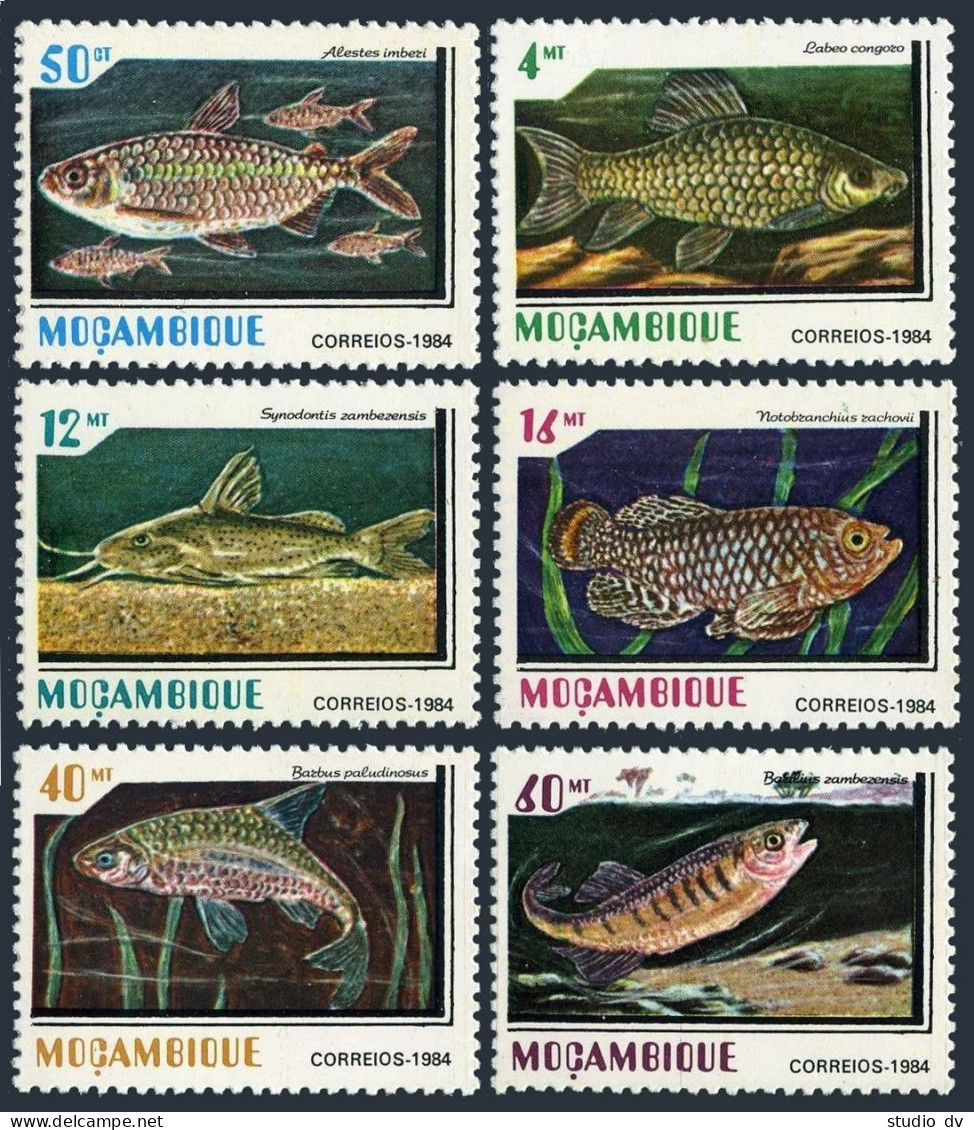 Mozambique 920-925,MNH.Michel 991-996. Freshwater Fish,1984. - Mozambique