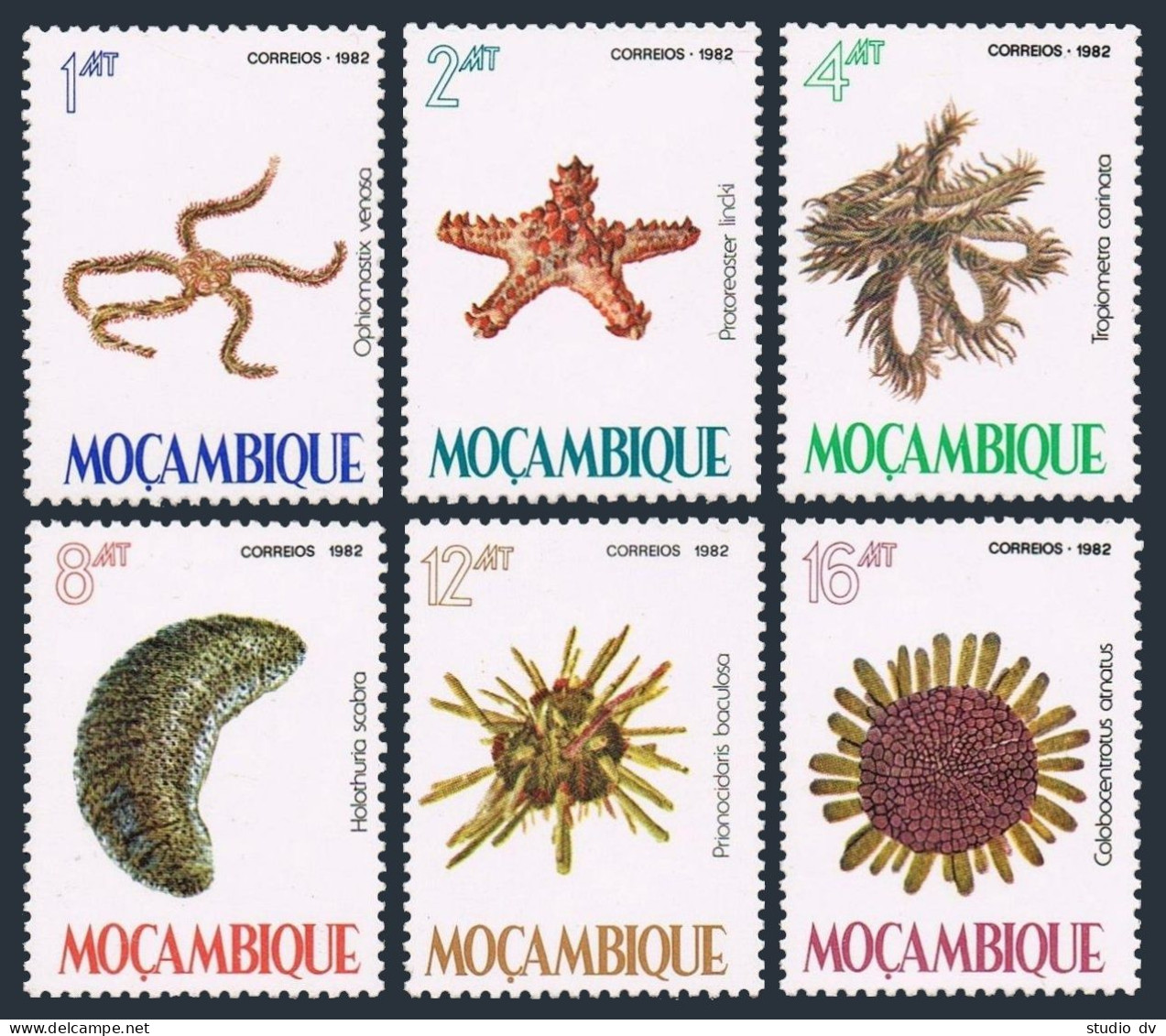 Mozambique 842-847,MNH.Michel 913-918. Marine Life,1982. - Mozambique
