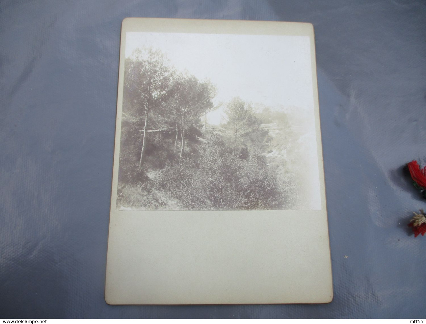 1894 PHOTO SUR CARTON ROUTE SAINTE BEAUNE N D ORGNON - Old (before 1900)