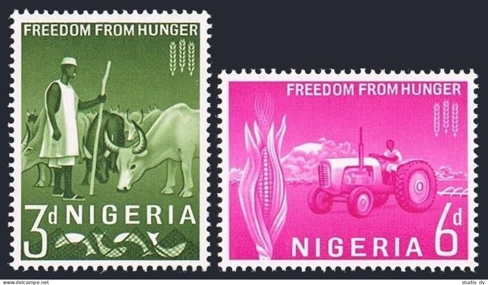Nigeria 141-142, MNH. Mi 132-133. FAO 1963. Freedom From Hunger Campaign. Cattle - Nigeria (1961-...)