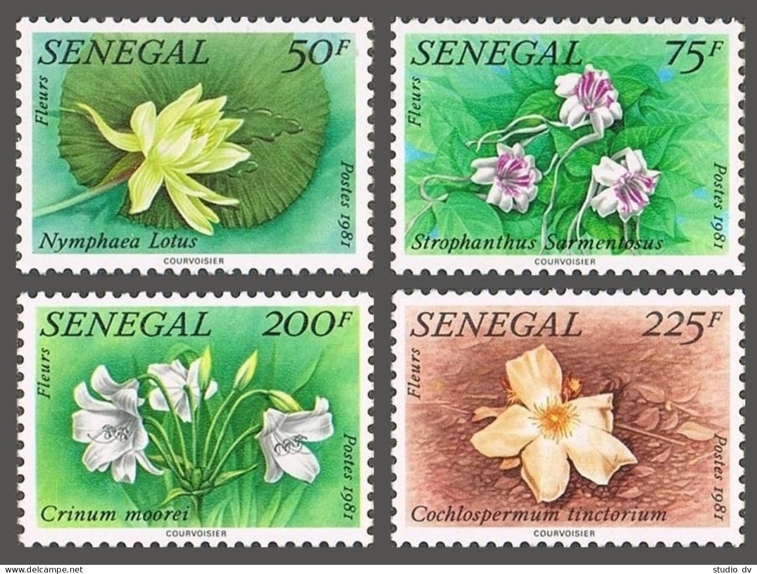 Senegal 551-554, MNH. Michel 755-758. Local Flora, 1982. - Senegal (1960-...)