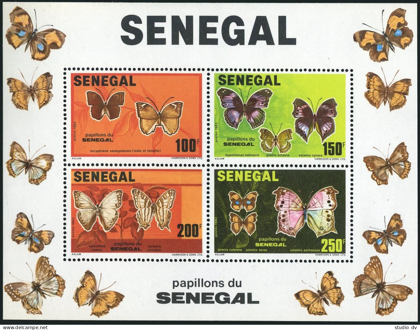 Senegal 559 Ad Sheet,MNH.Michel 763-766 Bl.41. Butterflies 1982. - Sénégal (1960-...)