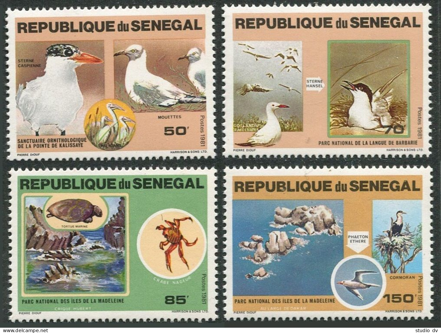 Senegal 541-544, MNH. Mi 741-744. Natl Parks 1981. Caspian Tern, Gulls, Turtle, - Senegal (1960-...)