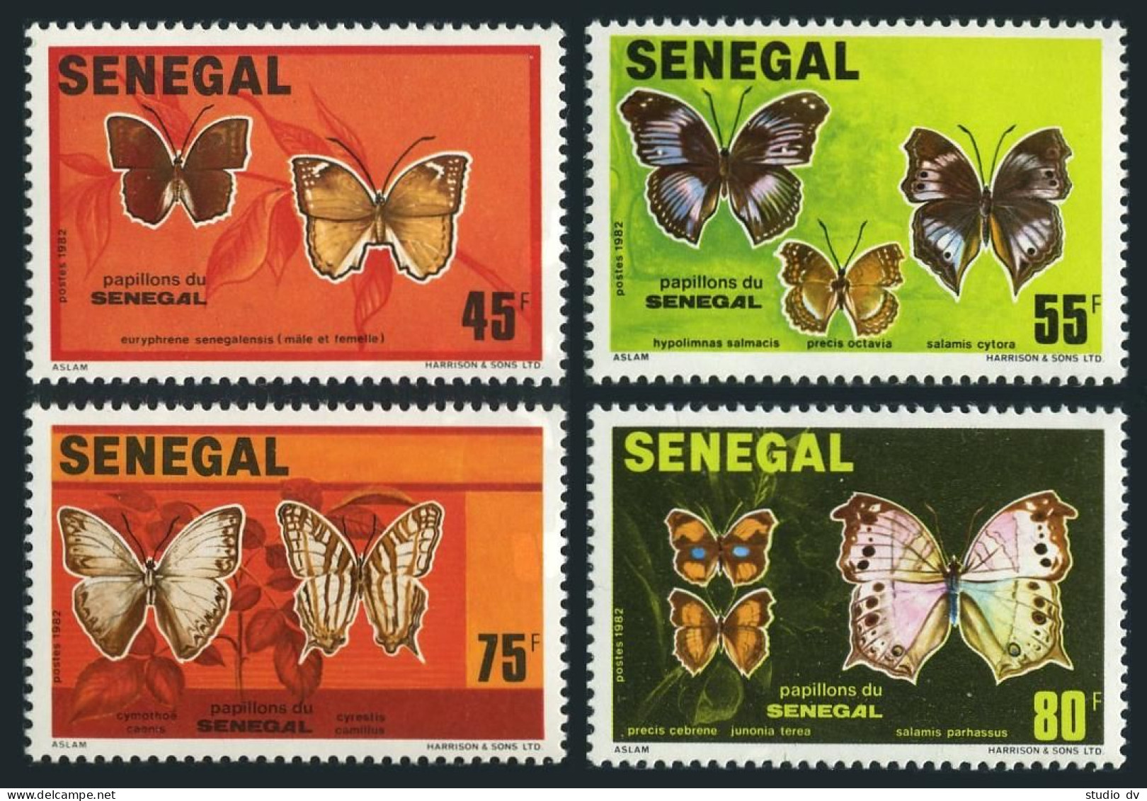 Senegal 555-558,559 Ad Sheet,MNH.Michel 759-762,763-766 Bl.41. Butterflies 1982. - Sénégal (1960-...)