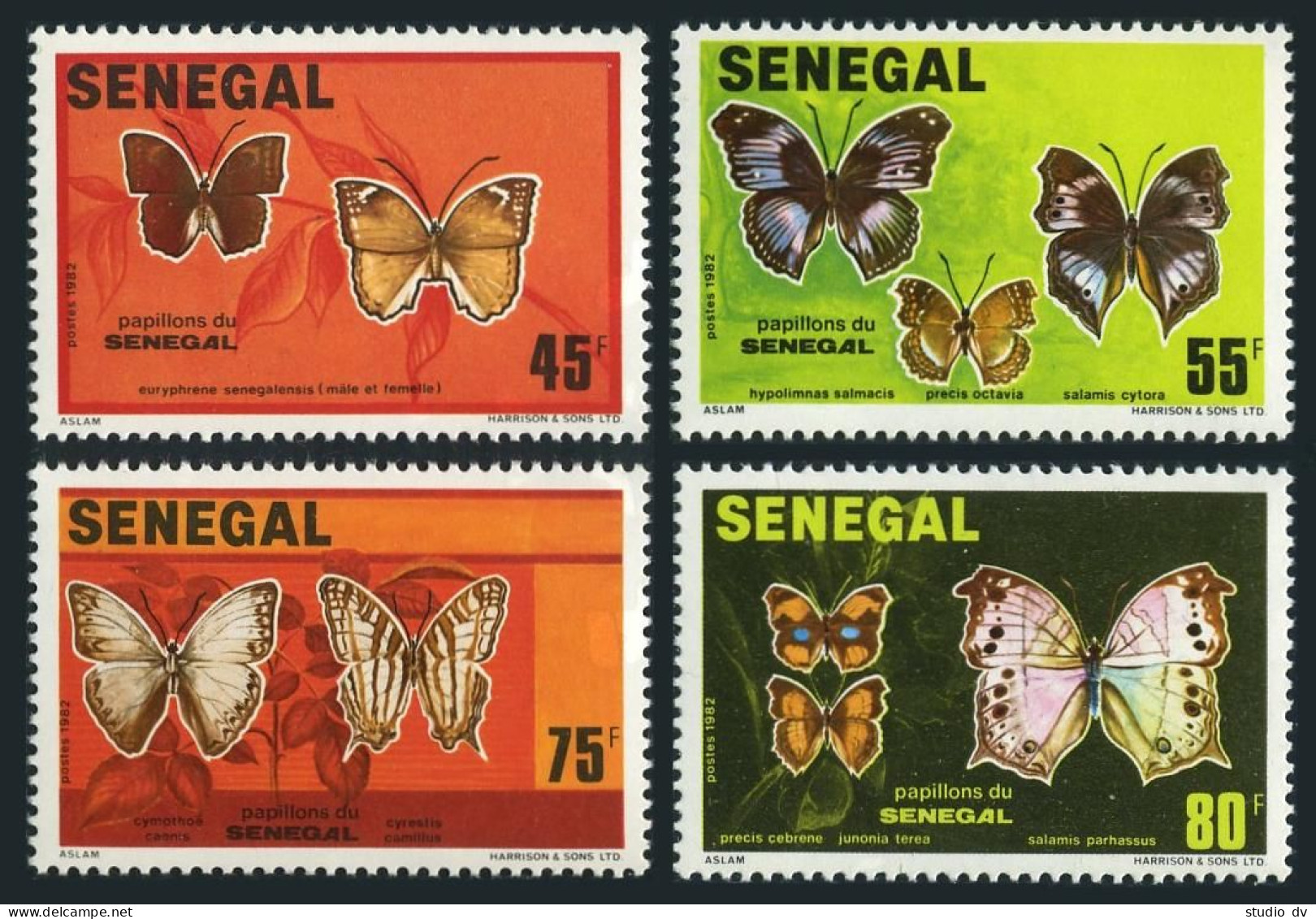 Senegal 555-558,559 Ad Sheet,MNH.Michel 759-762,763-766 Bl.41. Butterflies 1982. - Senegal (1960-...)