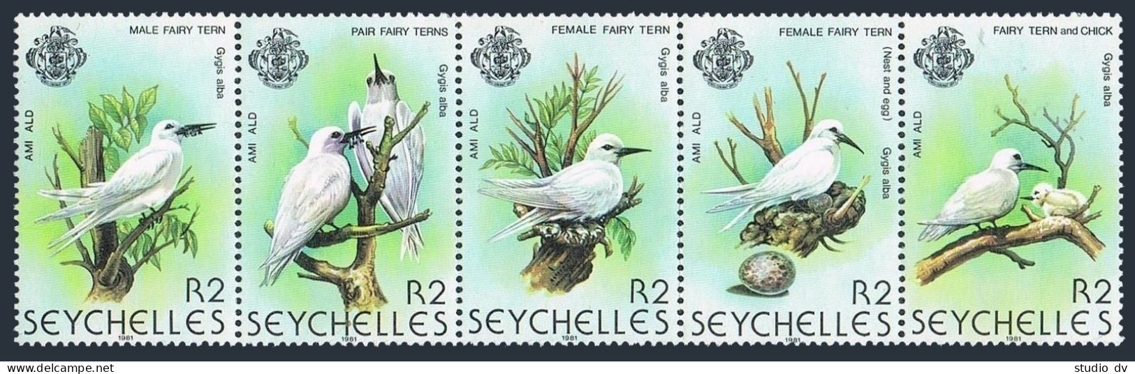 Seychelles 468 Ae,MNH.Michel 478-482. Birds 1981.Fairy Tern - Gigis Alba. - Seychelles (1976-...)