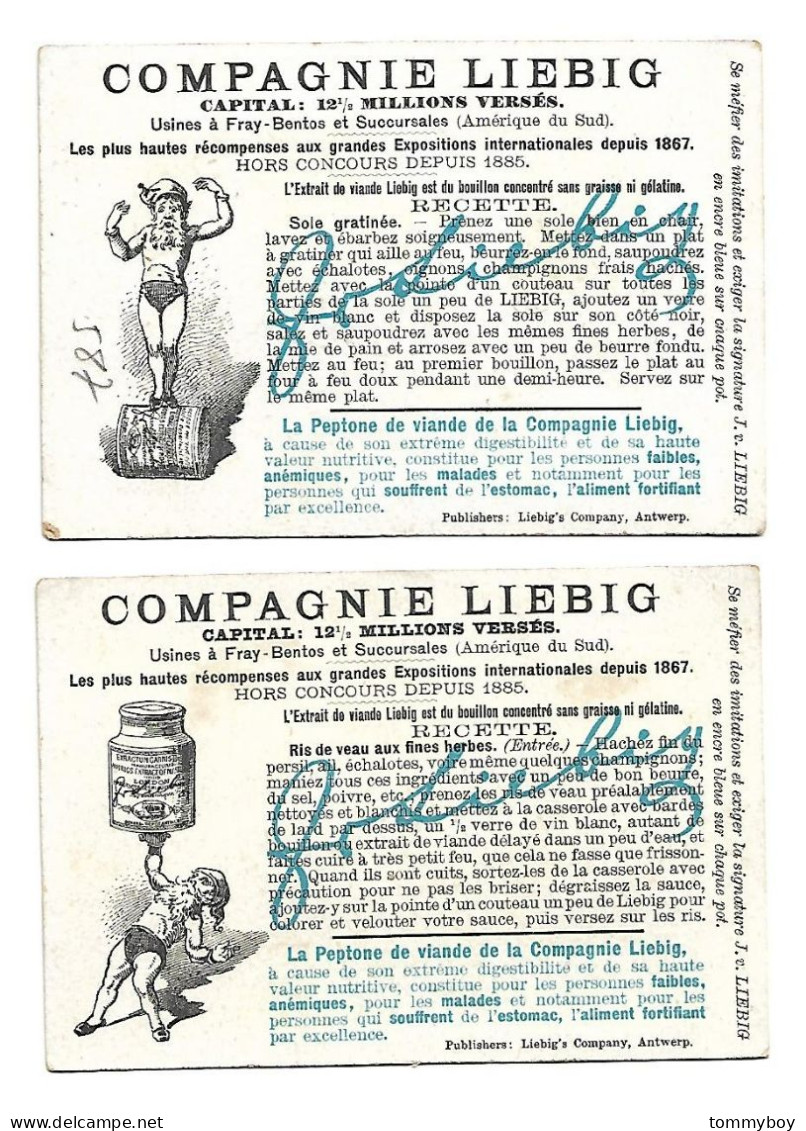 S 587, Liebig 6 Cards, Le Fer (some Spot Ont The Backsides) (ref B13) - Liebig