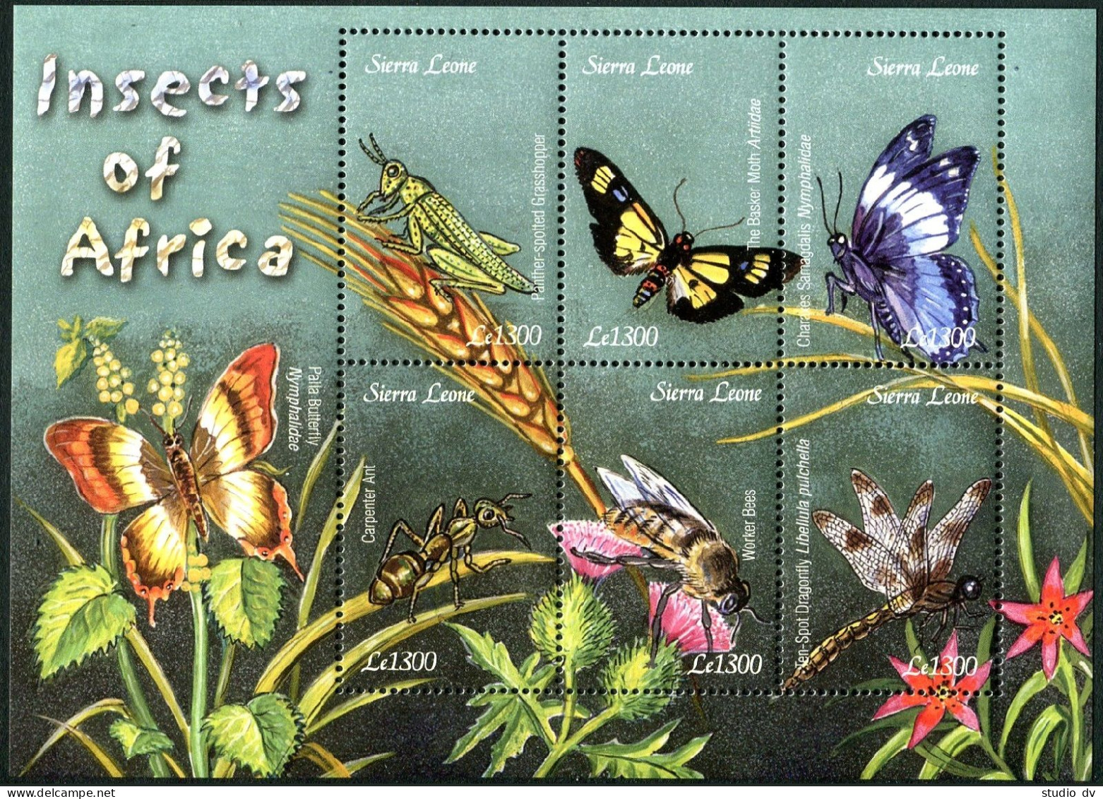 Sierra Leone 2590 Af Sheet, MNH. Insects Of Africa 2003. Grasshopper, Moth, Ant, - Sierra Leone (1961-...)