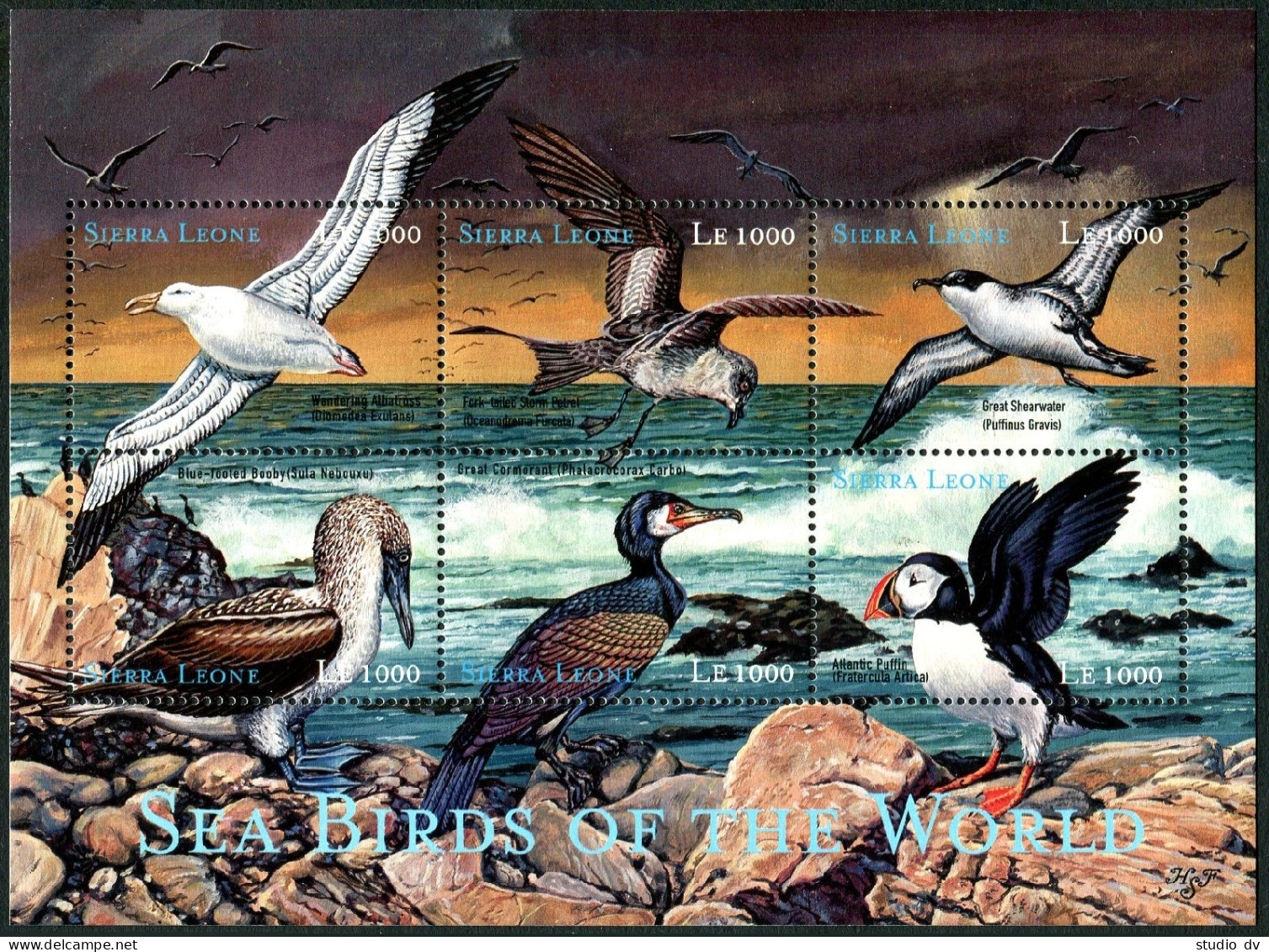 Sierra Leone 2303 Af Sheet, MNH. Sea Birds, 2000. Wandering Albatross, Petrel, - Sierra Leona (1961-...)