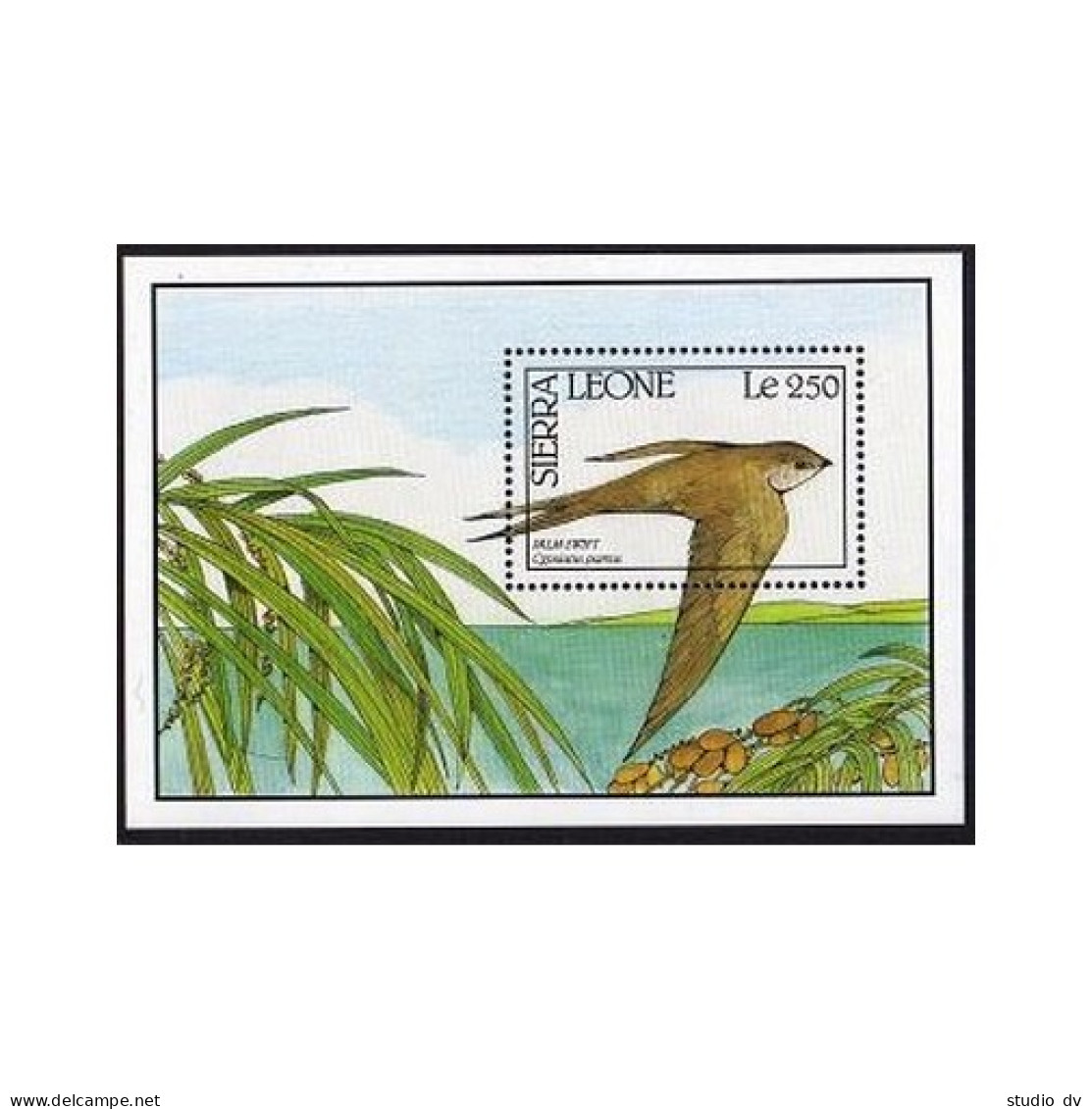 Sierra Leone 1242 Sheet, MNH. Michel 1464 Bl.130. Birds 1990. Palm Swift. - Sierra Leone (1961-...)